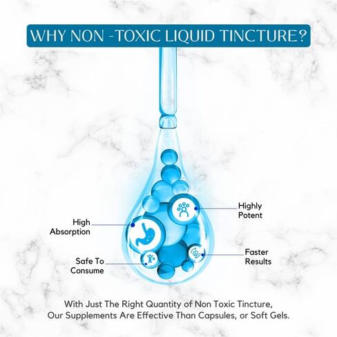 مستخلص فطر ذيل الديك الرومي Absonutrix 590 مجم، سائل 4 أونصة، 200 حصة، صنع في الولايات المتحدة الأمريكية، سريع الامتصاص، مكونات فعالة عالية الجودة، تم اختباره من قبل طرف ثالث، غير معدّل وراثيًا، معتمد من GMP in Kuwait