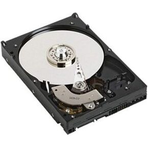 DELL - 1TB 7200RPM 3.5" SATA II HDD - Mfg # 8WDYM (Dell tray included!) (Renewed)