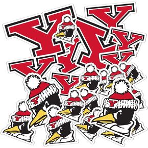 Youngstown State University Sticker YSU Penguins Stickers Vinyl Decals Laptop Water Bottle Car Scrapbook T1 (Type 1-1)