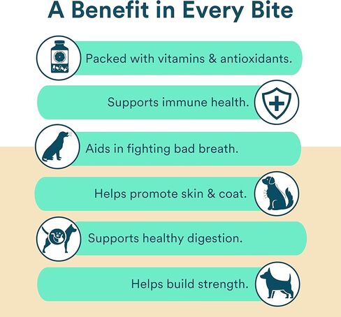 Benefit Biscuits, All Natural Dog Treats, Certified Vegan, Non GMO, Wheat Free, Healthy Dog Biscuits, Made in USA (Blueberry, Regular Bag (7oz)) in Kuwait