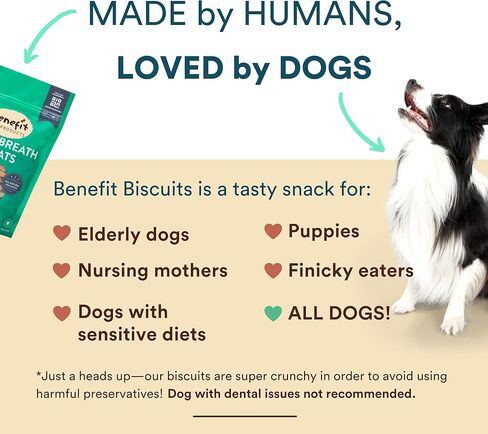 Benefit Biscuits, All Natural Dog Treats, Certified Vegan, Non GMO, Wheat Free, Healthy Dog Biscuits, Made in USA (Blueberry, Regular Bag (7oz)) in Kuwait