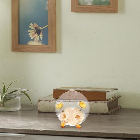 Ipetboom Piggy Bank Money Box: 2.95X2.55X2.55 زجاجي شفاف للعملات المعدنية بنك أموال لطيف - بنك أصبع للأولاد والبنات لتوفير المال جرة النقود المعدنية - هدية جرة التوفير للأطفال صندوق تخزين الحيوانات الأليفة in Saudi Arabia