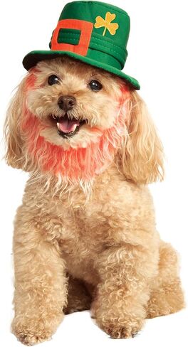 Rubie's St. Patty's Day Pet Costume Hat with Beard, Small/Medium, Multicolor in Saudi Arabia