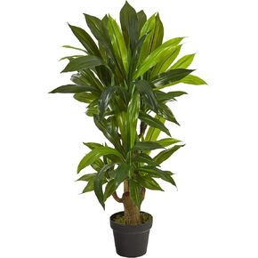 Nearly Natural 3ft. Corn Stalk Dracaena Artificial Plant (Real Touch)