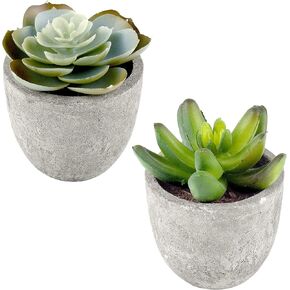 2 Pack Artificial Fake Plants Mini Succulents Plants with Plastic Pots, Decorative Plants for Home Decor, Office Desk Plants