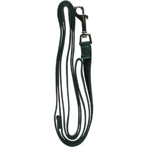 Hamilton Single Thick Deluxe Nylon Lead with Swivel Snap, 5/8-Inch by 6-Feet, Dark Green