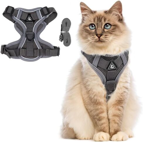 PetnBeyond Kitten Harness and Leash Set - Secure, Comfortable Control with Breathable Mesh Jacket - Adjustable Vest for Safe Walks with Reflective Strips - Kitty Escape Proof Kit (Small, Blue) in Saudi Arabia