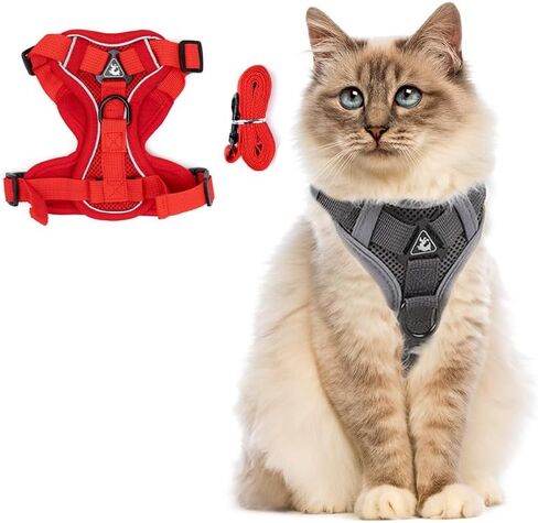 PetnBeyond Kitten Harness and Leash Set - Secure, Comfortable Control with Breathable Mesh Jacket - Adjustable Vest for Safe Walks with Reflective Strips - Kitty Escape Proof Kit (Small, Blue) in Saudi Arabia