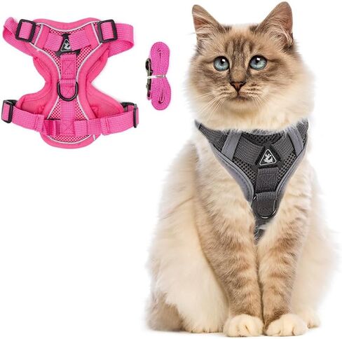 PetnBeyond Kitten Harness and Leash Set - Secure, Comfortable Control with Breathable Mesh Jacket - Adjustable Vest for Safe Walks with Reflective Strips - Kitty Escape Proof Kit (Small, Blue) in Saudi Arabia