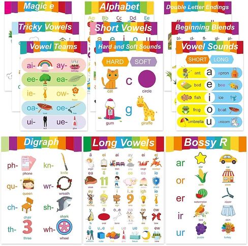 ceiba tree 12 English Phonics Language Posters Kindergarten Preschool Arts Skills Learning Poster for Kids Classroom Decorations Home School Supply in Saudi Arabia