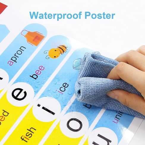 ceiba tree 12 English Phonics Language Posters Kindergarten Preschool Arts Skills Learning Poster for Kids Classroom Decorations Home School Supply in Saudi Arabia