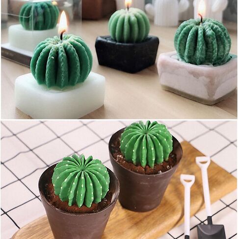 2-Pack Cactus Silicone Molds Set - MoldFun Cacti Mold for Fondant, Gum Paste, Chocolate, Candy, Candle, Polymer Clay in Kuwait