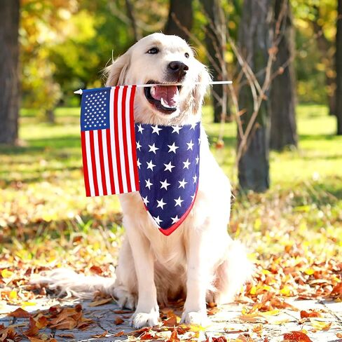 يوم الاستقلال 48 قطعة من عصابات العلم الأمريكي من البوليستر علم الولايات المتحدة الأمريكية عصابة رأس وطنية للنساء باندانا الولايات المتحدة الأمريكية لمستلزمات حفلات الرابع من يوليو in Kuwait