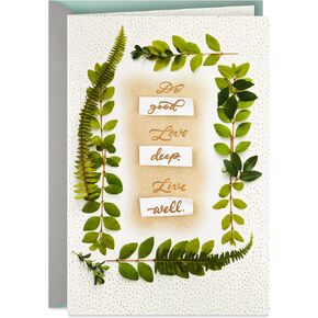 Hallmark Signature Birthday Card with Removable Dachshund Magnet (Dog in Sweater)