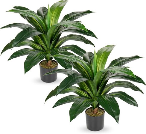 نباتات Dracaena الاصطناعية نبات صناعي كبير بطول 22 بوصة، نبات يوكا صناعي بوعاء، نباتات حرير استوائية لديكور المنزل، غرفة المعيشة الداخلية، غرفة النوم، ديكور المكتب، عبوتان in Kuwait
