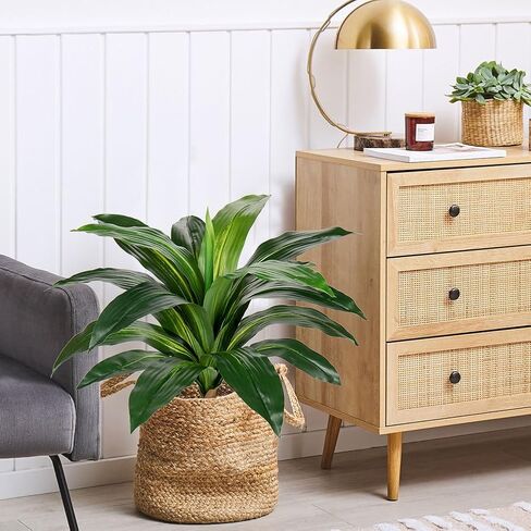 نباتات Dracaena الاصطناعية نبات صناعي كبير بطول 22 بوصة، نبات يوكا صناعي بوعاء، نباتات حرير استوائية لديكور المنزل، غرفة المعيشة الداخلية، غرفة النوم، ديكور المكتب، عبوتان in Kuwait