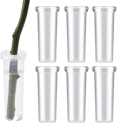 AIEX 6 قطع 60 مل من أنابيب مياه الزهور مع غطاء، أنابيب مياه بلاستيكية كبيرة من الزهور، أنابيب زهور للزهور الطازجة، ترتيب قطع أعشاب الحليب عباد الشمس 4.1 × 1.8 بوصة/10.8 × 3.6 سم (شفاف) in Saudi Arabia