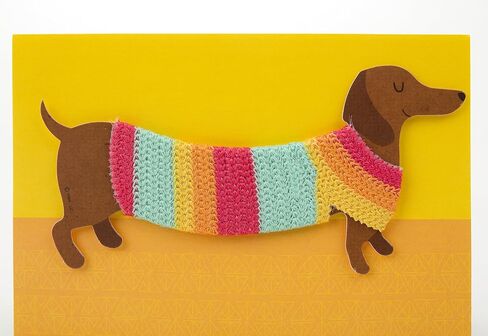 Hallmark Signature Birthday Card with Removable Dachshund Magnet (Dog in Sweater) in Saudi Arabia