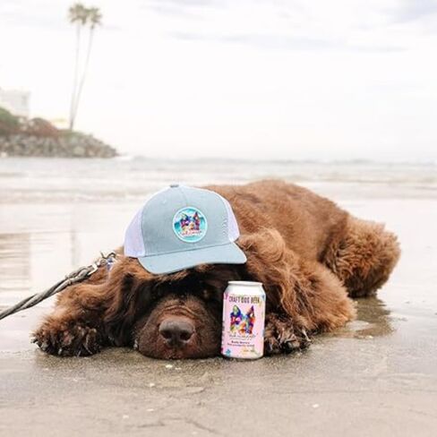 Tailwagger Craft Dog Beer - Beefy Brown Ale - هتاف للمتعة غير الكحولية للأصدقاء ذوي الفراء، مشروب لذيذ وطبيعي لسعادة الذيل في كل رشفة! - عبوة بوزن 12 أونصة مكونة من 4 قطع in Saudi Arabia
