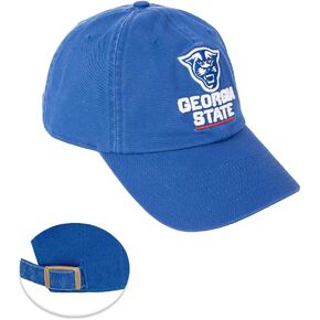 Desert Cactus Georgia State University Baseball Hat Panthers GSU Brimmed Embroirderd Hats Cap Adjustable Cloth Strap Adult (Style C) Blue