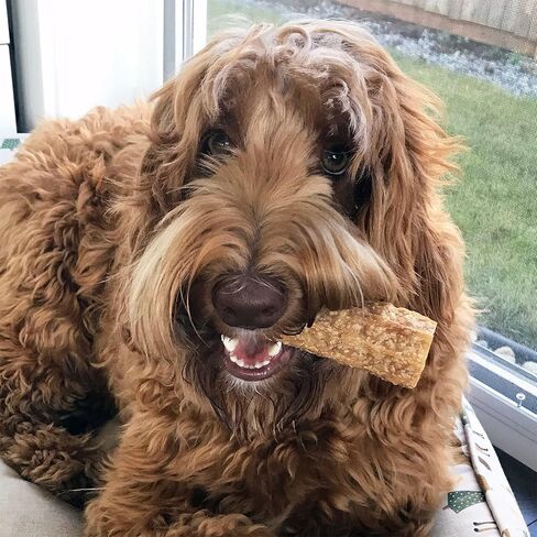 Happy Teeth Cheese & Charcoal Dental Dog Chews | Cheese Flavor with Activated Charcoal | Dental Chew | Protein Rich | Gluten Free - Lactose Free - Wheat Free - Soy Free| 2 Chews per Resealable Pouch in Saudi Arabia