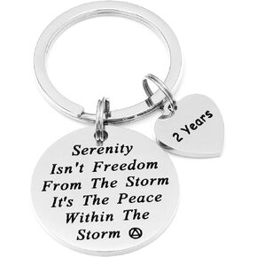 Sober Gifts for Women Keychain Gifts for Sobriety Anniversary 2 Years 2yr Key Chains Na Recovery Jewelry for Men Sober Jewelry