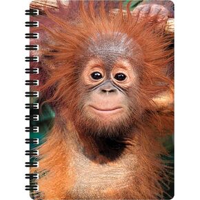 Jotter - Baby Orangutan from Deluxebase. Lenticular 3D Monkey 6x4 Spiral Notebook with plain recycled paper pages. Artwork licensed from renowned artist David Penfound