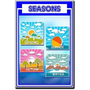 Season, Spring, Summer, Fall, Winter Poster Quote Motivational Educational Inspirational School Elementary Homeschool 12-Inches by 18-Inches Print Wall Art CAP00105