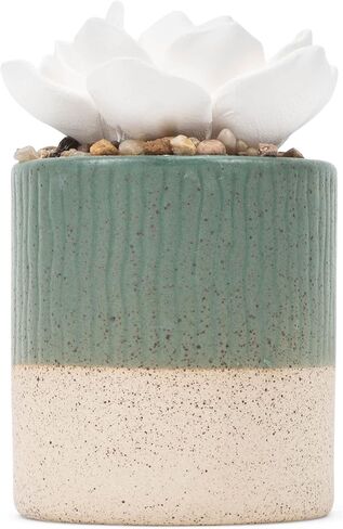 DEMDACO Good Vibes Only باللون الأزرق المخضر النضر 3 × 5 موزع زيت على الطاولة من الخزف الحجري in Kuwait