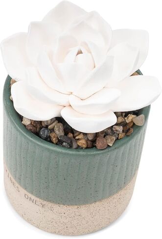 DEMDACO Good Vibes Only باللون الأزرق المخضر النضر 3 × 5 موزع زيت على الطاولة من الخزف الحجري in Kuwait