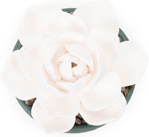 DEMDACO Good Vibes Only باللون الأزرق المخضر النضر 3 × 5 موزع زيت على الطاولة من الخزف الحجري in Kuwait