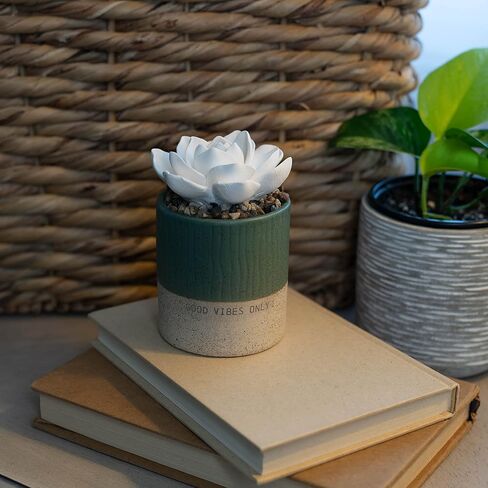 DEMDACO Good Vibes Only باللون الأزرق المخضر النضر 3 × 5 موزع زيت على الطاولة من الخزف الحجري in Kuwait