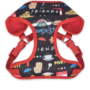 City Doodle Dog Harness for Small Dogs, Small (S) | Blue Small Dog Harness, No Pull Dog Harness with D-Ring | Machine Washable Friends Merch for Dogs from Friends TV Show