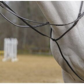 AVIGNON STANDING MARTINGALE (Cob, Havana)