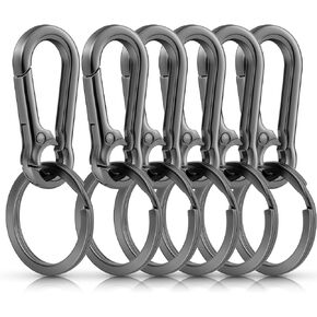 6pcs Metal Keyring Key Chain Key Ring KeyChains Clip Key Chain Organizer for Home, Car, Key Finder