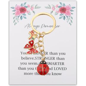 BNQL Ladybug Keychain Gifts Good Luck Ladybug Gifts Ladybug Lover Gifts Ladybug Inspirational Gifts Ladybug Charm Keychain