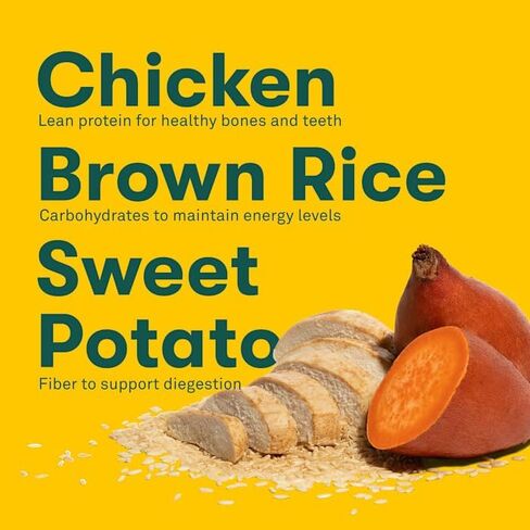 Jinx Chicken, Brown Rice, Sweet Potato & ALS Kibble Dry Dog Food, 4 lbs. in Saudi Arabia