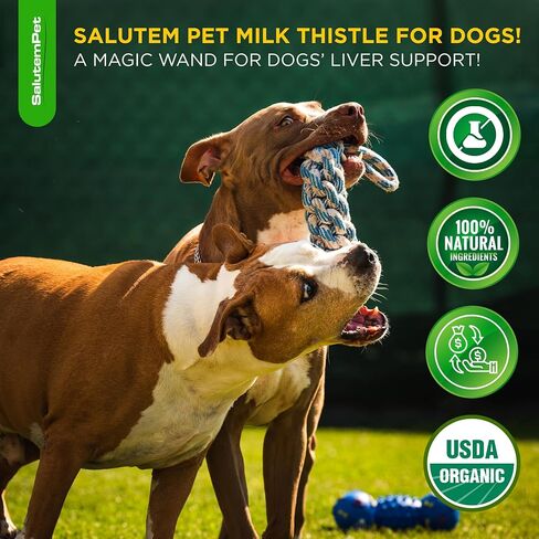 Milk Thistle for Dogs | Liver Support for Dogs | Kidney Support for Dogs | Dog Milk Thistle | Dog Liver Support | Dog Cough | UTI for Dogs | Dog Liver Supplement | 2 Oz in Saudi Arabia