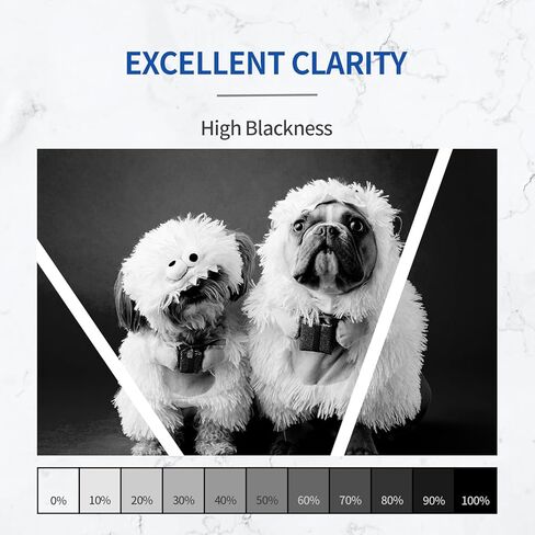 خراطيش حبر INKCLOUD 206X مكونة من 4 قطع (مع شريحة) بديلة متوافقة لـ HP 206X A W2110A W2110X تعمل مع حبر طابعة HP Color Pro MFP M283fdw M283cdw M283 Pro M255 M255dw حبر عالي الإنتاجية in Kuwait