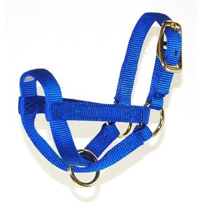 Hamilton 3/4-Inch Nylon Figure 8 Goat Halter, Billy, Black
