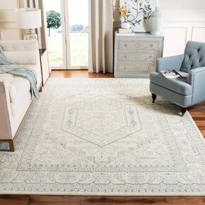 SAFAVIEH Adirondack Collection Area Rug - 9' x 12', Ivory & Slate, Oriental Medallion Design, Non-Shedding & Easy Care, Ideal for High Traffic Areas in Living Room, Bedroom (ADR108S)
