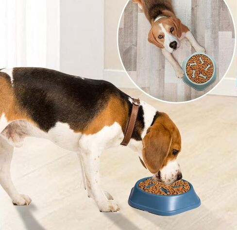 Slow Feeder Dog Bowl,Anti Gulping Healthy Eating Interactive Bloat Stop Fun Alternative Dog Slow Food Feeding Pet Bowl, in Saudi Arabia
