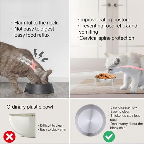 2 Sets of 7" Wide Stainless Steel Elevated Cat Bowls for Cats, Puppies and Small Dogs, Food and Water Bowls, Elevated Indoor Cat Bowl to Prevent Whisker Fatigue and Food Backflow… in Saudi Arabia