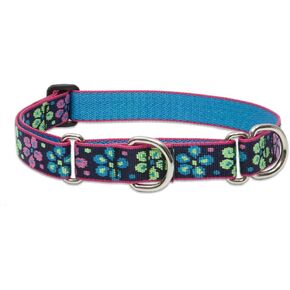 LupinePet Originals 1" Flower Power 15-22" Martingale Collar for Medium and Larger Dogs