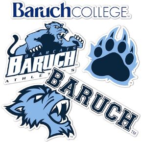 Desert Cactus Baruch College Sticker Bearcats Stickers Vinyl Decals Laptop Water Bottle Car Scrapbook T2 (Type 2)
