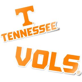 Desert Cactus University of Tennessee UT Vols Volunteers Sticker Vinyl Decal Laptop Water Bottle Car Scrapbook (4 Inch Set V1)