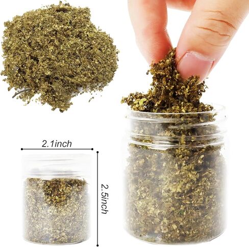 Warmtree مصغرة أوراق محاكاة نموذج أوراق مشهد لDiorama لوازم التضاريس نموذج عدة طاولة الرمل محاكاة المناظر الطبيعية لعبة الحرب المنمنمات حديقة الجنية in Kuwait