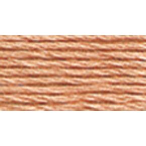 Dmc 6-Strand Embroidery Cotton 8.7yd-Very Light Terra Cotta