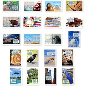 مجموعة بطاقات بريدية من FUN FACTS مكونة من 20 قطعة. مجموعة متنوعة من بطاقات البريد مع بطاقات بريدية ذات موضوعات معلوماتية وممتعة. صنع فى أمريكا.