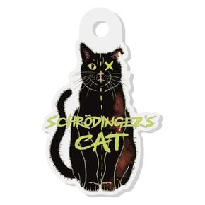 Schrodinger’s Cat Keychain - Acrylic Keychain, Physics Gift, Einstein, Quantum Mechanics, Science Joke, Funny Physics Gift, Science Keychain, Physics Keychain